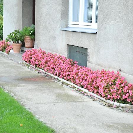 Studio Apartman D&D Varaždin Exterior foto